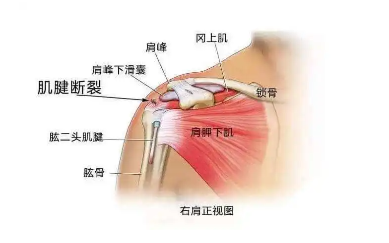 邵陽創傷骨科,邵陽風濕病區,邵陽骨質增生,邵陽關節病區,邵陽頸椎病區