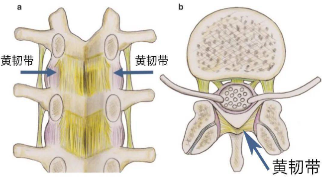 邵陽創傷骨科,邵陽風濕病區,邵陽骨質增生,邵陽關節病區,邵陽頸椎病區