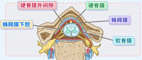 邵陽創傷骨科,邵陽風濕病區,邵陽骨質增生,邵陽關節病區,邵陽頸椎病區